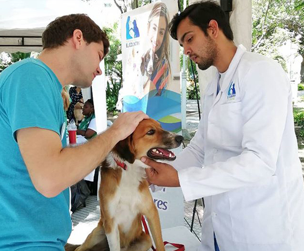 VETERINARIA EL COUNTRY .