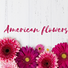 AMERICAN FLOWERS .